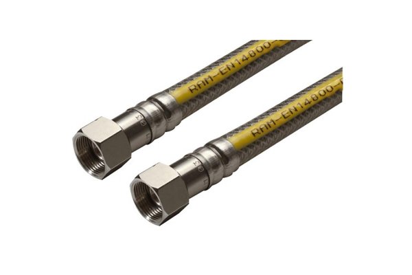 GASSLANG RVS RAM GASTEC 100CM